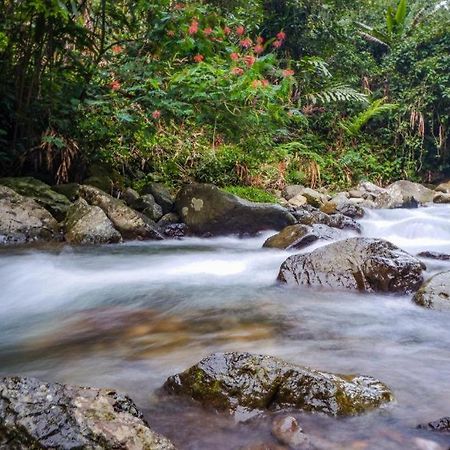Oyo 93146 Lamin Indah Hotel Puncak Eksteriør billede