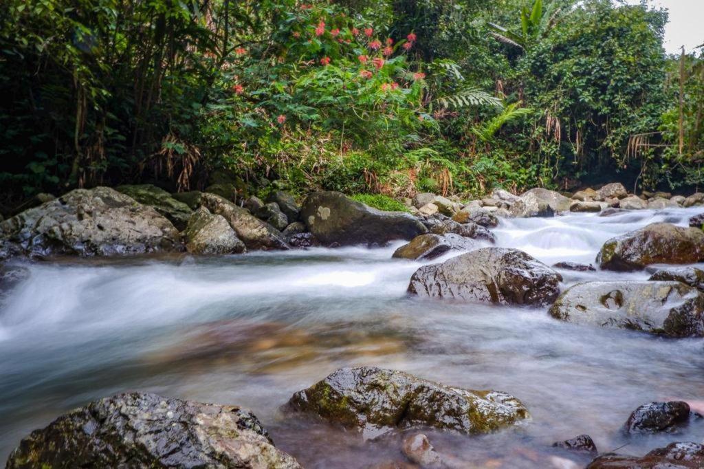 Oyo 93146 Lamin Indah Hotel Puncak Eksteriør billede